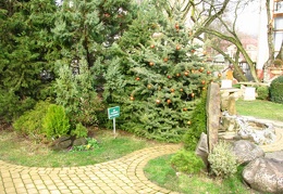 &quot;Старый парк&quot; в Кабардинке (Краснодарский край, РФ)