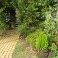 IMG 0881  2