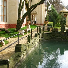 IMG 0906  2