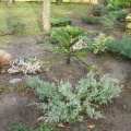 IMG 0918  2
