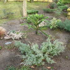IMG 0918  2