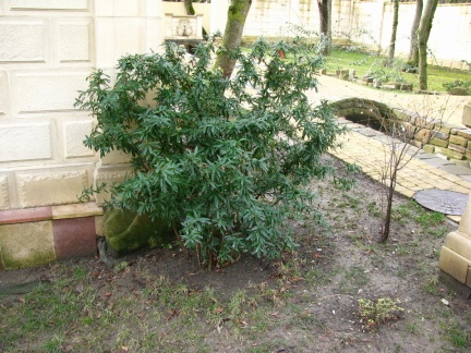 &quot;Старый парк&quot; в Кабардинке (Краснодарский край, РФ