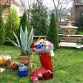 IMG 0967  2