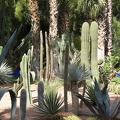 marocco 114