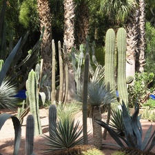 marocco 114