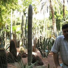 marocco 124