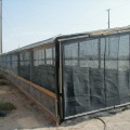 09-11 cold hardy