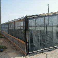 09-11 cold hardy