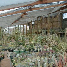 26-5 tall and warm
