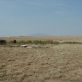 31- SW horizon