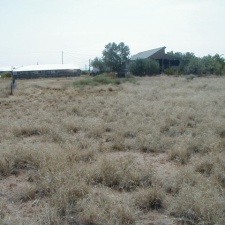 39- east to house