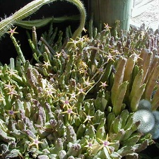 47-8 great smell