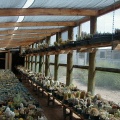 49-8 east wall