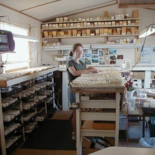 57-seed packet trays