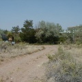 58- road to house