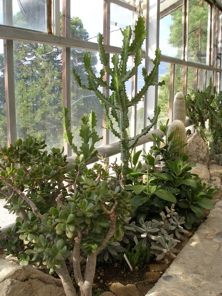 P9060186.jpg