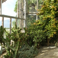 Никитский ботанический сад (Ялта)