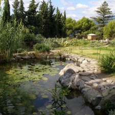 Никитский ботанический сад (Ялта)