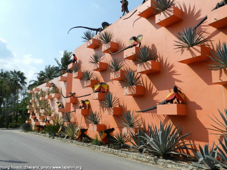 Agaves1.jpg