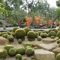 Ботанический сад &quot;Nong Nooch&quot;