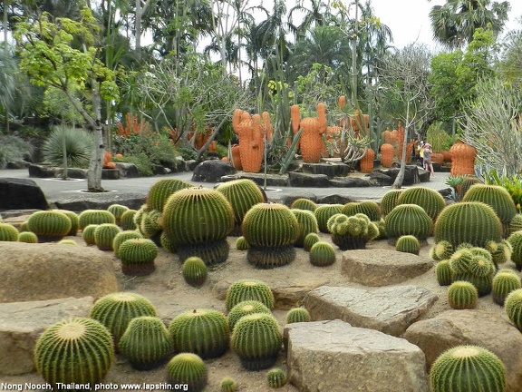 Ботанический сад &quot;Nong Nooch&quot;