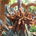 IMG_4565.JPG