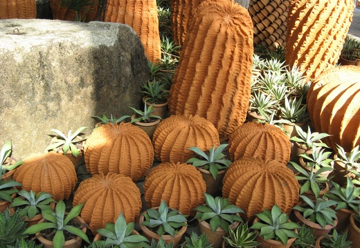 Ботанический сад &quot;Nong Nooch&quot;