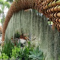 Tropical-NongNooch.jpg