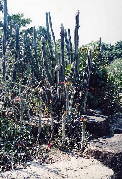 img019.jpg