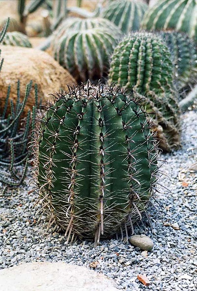 img030.jpg