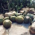 Ботанический сад &quot;Nong Nooch&quot;