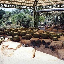 Ботанический сад &quot;Nong Nooch&quot;