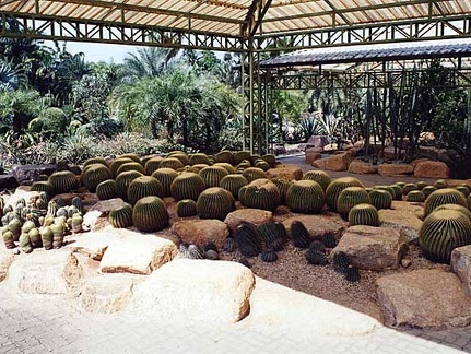 Ботанический сад "Nong Nooch" (2772 відвідувань) Фото Дениса Доровских (Киев)
Ботанический сад "Nong Nooch"