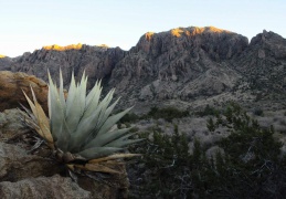 park Big Bend USA 2011