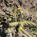 JPG_3471.jpg