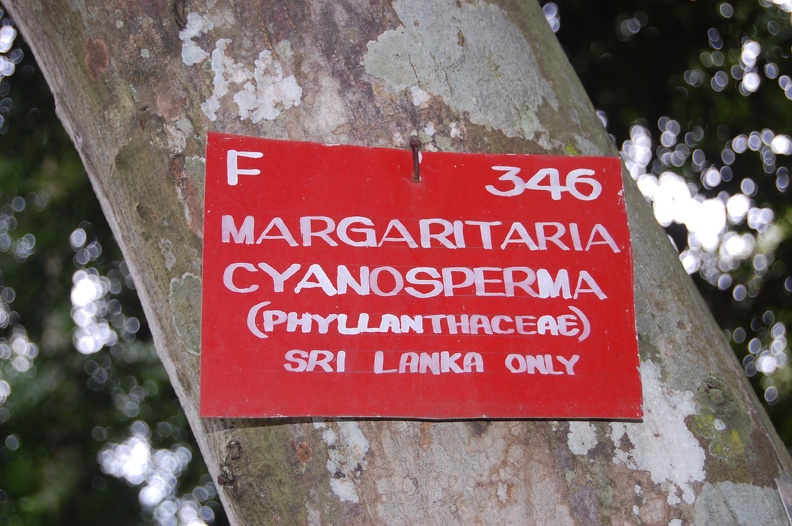 DSC_5620.JPG