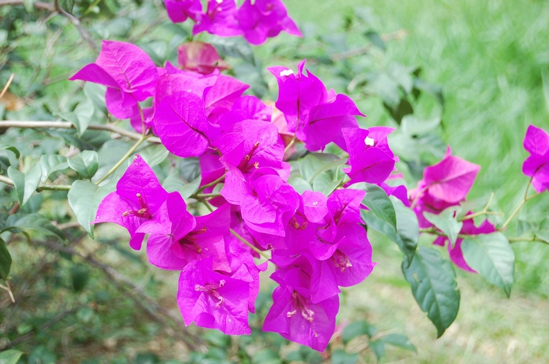 DSC_5654.JPG