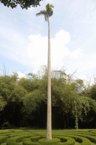 DSC_5690.JPG