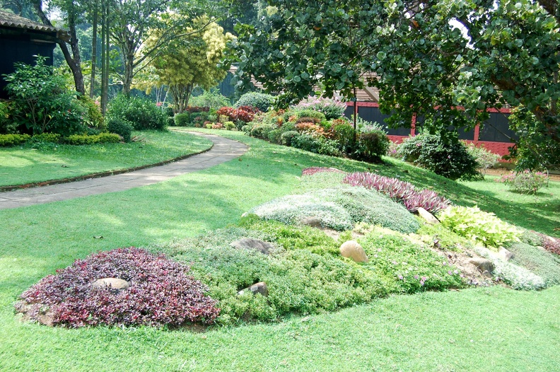 DSC_5701.JPG