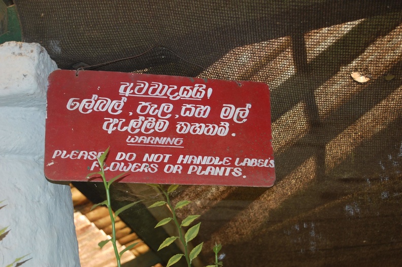 DSC_5738.JPG