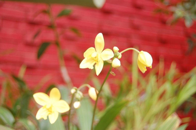 DSC_5758.JPG