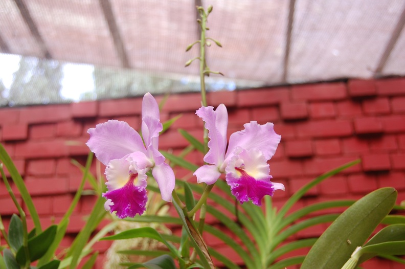 DSC_5760.JPG