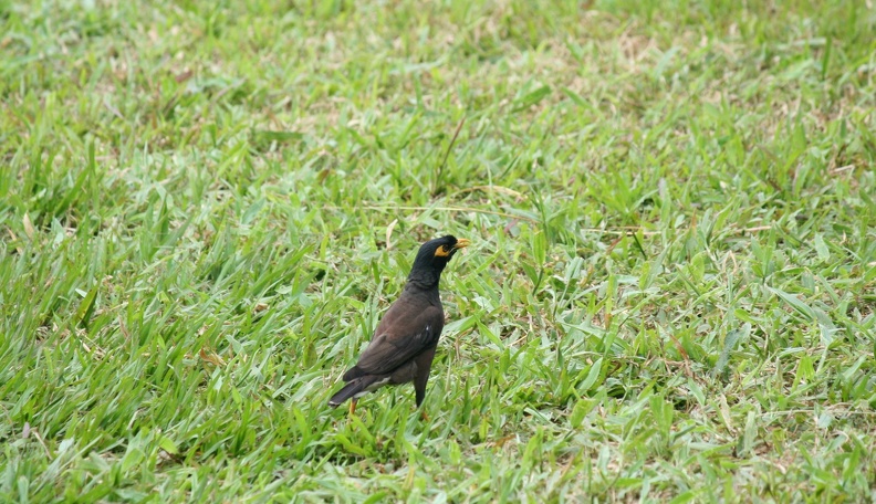 IMG_3398.JPG