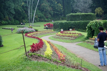 Ботсад в Перадении (Шри-Ланка)