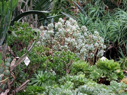 Полтавский ботанический сад