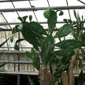 IMG_3807.JPG