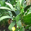 IMG_7931.jpg