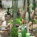 IMG_7951.jpg