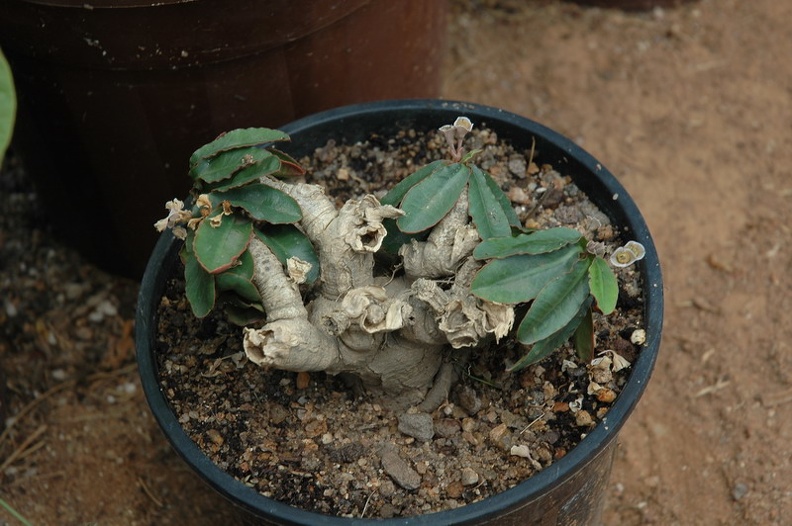 DSC_3444.jpg