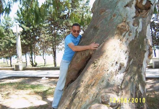 Сухумский ботанический сад  (Абхазия) 2009,2011